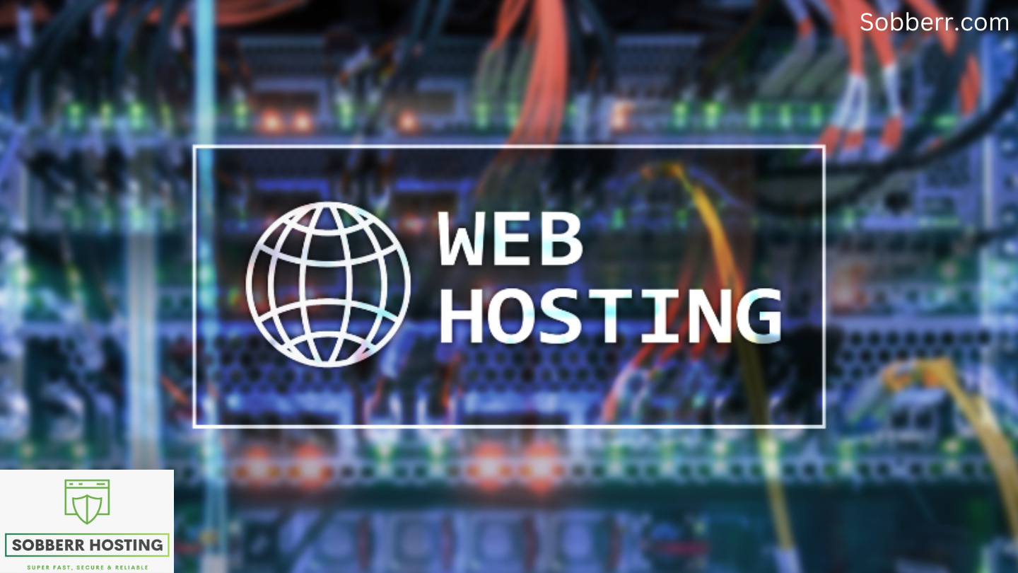 Sobberr web hosting performance metrics showing 99.9% uptime and fast page load speeds
